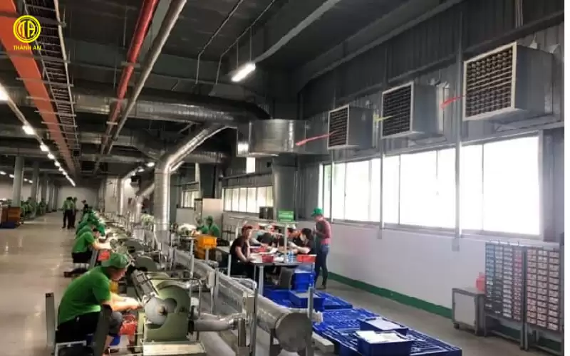 quạt thông gió nhà xưởng